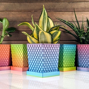 Multicolor Honeycomb Hexagon Planter with Drainage | Modern 3D printed Indoor Small Pot with Drip Tray