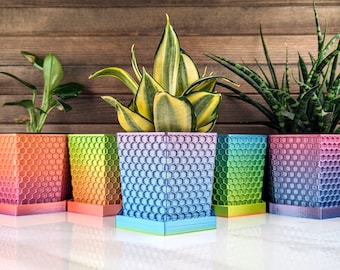 Multicolor Honeycomb Hexagon Planter with Drainage | Modern 3D printed Indoor Small Pot with Drip Tray