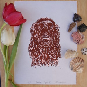 May include: A linocut print of a Cocker Spaniel dog in brown and white. The print is on white paper, accompanied by a red tulip, a white tulip, and various seashells and stones.