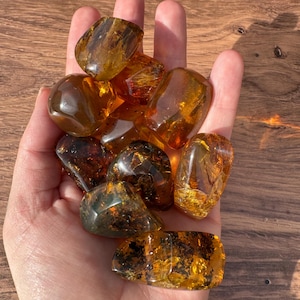 May include: A handful of polished amber stones in various shapes and sizes. The amber pieces range in color from golden yellow to deep brown, with some displaying internal patterns. The stones are held in an open hand against a wooden background.