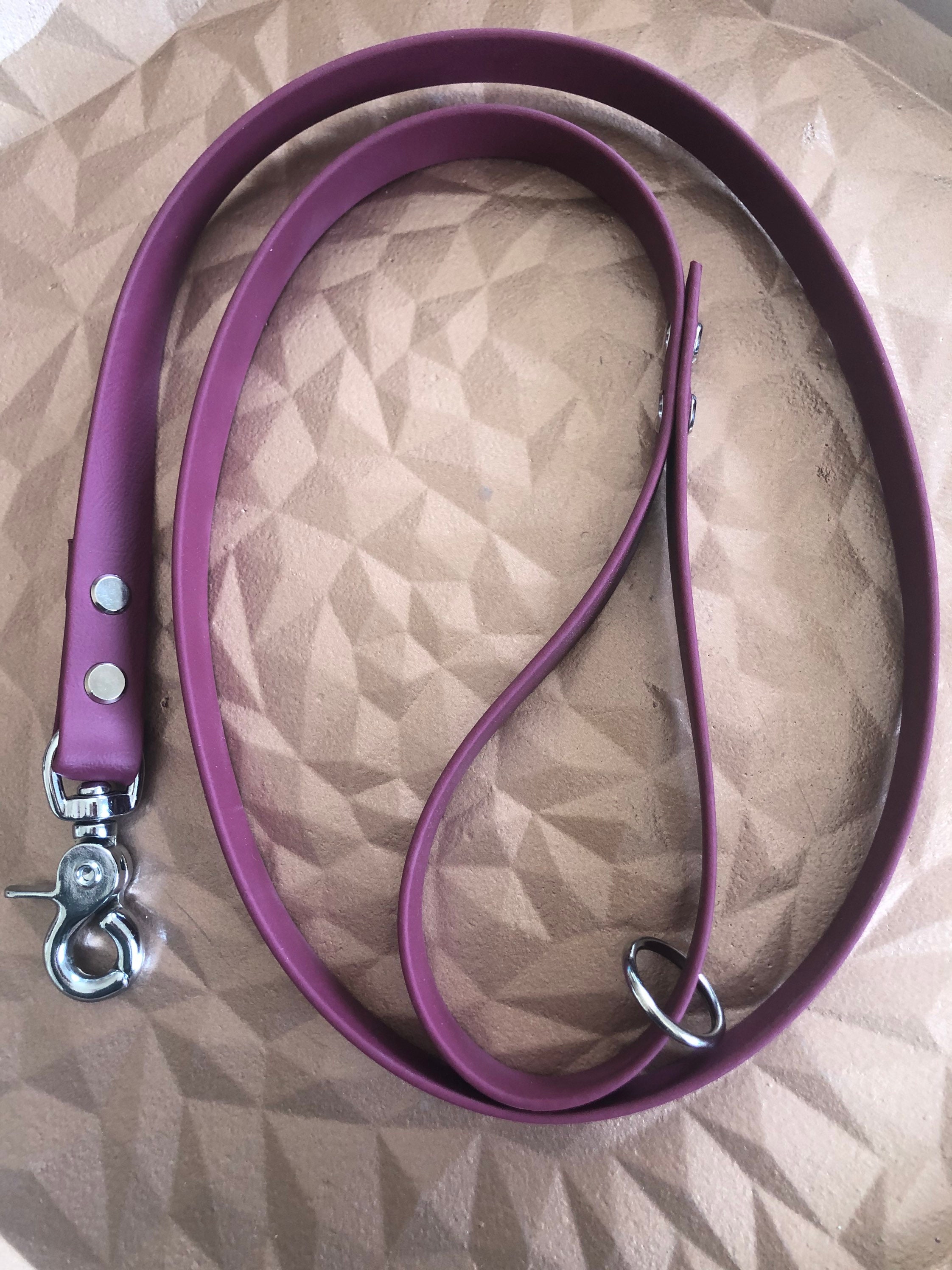 Dog leash made of biothane approx. 1.20 m long Etsy