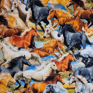 Horse fabric, Freedom. By Michael Miller. DCX11299 Fabric by the yard & half yard. Horse fabric, novelty fabric, animal fabric, farm fabric.