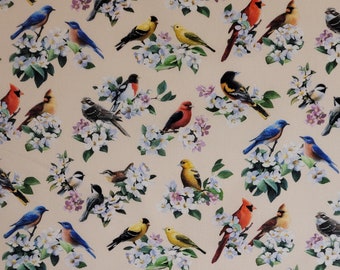 Bird fabric, by Elizabeth's Studio, cream. #40001. Fabric by the yard, half yard and fat quarters.  Bird fabric fabric, cardinal fabric.
