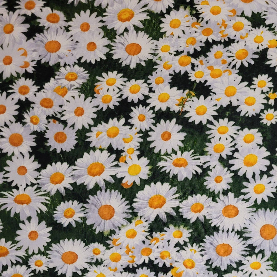Daisy Fabric by Timeless Treasures, DONA C8336. Fabric by the Yard and ...
