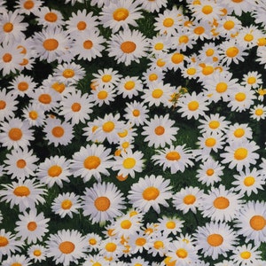 Daisy Fabric by Timeless Treasures, DONA C8336. Fabric by the yard and half yard. Daisy fabric, fabric with flowers.