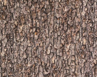 Tree bark fabric, Landscape medley fabric, for Elizabeth's Studio #709 brown. Sold by yardage and half yard cuts.  Bark fabric, 100% cotton.