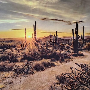 Desert fabric panel, Call of the Wild by Hoffman, measures 31&quot; x 44&quot;. Desert fabric, cactus fabric, desert fabric panel.