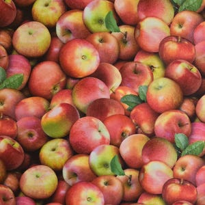 Apple fabric by Elizabeth&#39;s Studio #641 Multi. Fabric by the yard and half yards. Food fabric, fruit fabric, apple fabric.