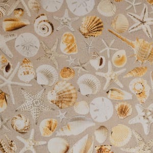 May include: A beige fabric background with a variety of seashells and starfish in various sizes and colors. The shells are mostly white, beige, and brown, and the starfish are mostly white and beige.