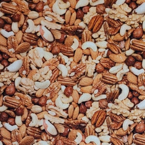 Mixed nuts by Elizabeth&#39;s Studio #655 Fabric sold by the yard and half yard. Food fabric, nut fabric, walnut fabric, cashew fabric.