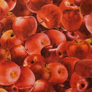 Red Apple fabric by TimelessTreasures #FRUIT-CD2864. Fabric by the yardage and half yard cuts. Food fabric, fruit fabric, apple fabric.