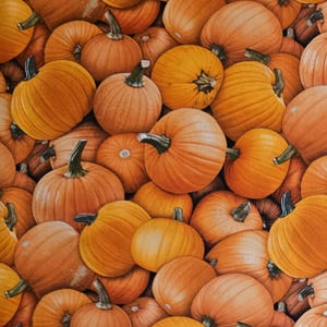 Pumpkins by Elizabeth&#39;s Studio #615. Sold by the yardage and half yard cuts. Fall fabric, Pumpkin fabric.