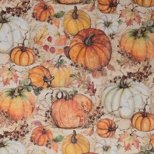 Pumpkin fabric by Spring Creative # CP68424. Sold by the yardage and half yard cuts. Fall fabric, Pumpkin fabric.