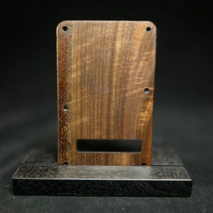 Fender Stratocaster Tremelo cover, Strat back plate, wood pickguard, vintage guitar Les Paul pickguard