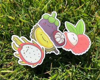 Exotic Fruit Stickers | Waterproof Stickers for Laptops/Hydroflasks/Journaling | Durian | Dragonfruit | Mangosteen | Lychee