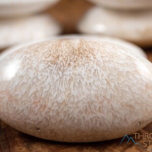 SCOLECITE Worry Stone, Large -  Crown Chakra, Crystal Decor, Healing Crystal, Palm Stone, E1886