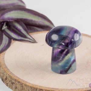 Rainbow FLUORITE Crystal Mushroom - XS-L – Hand Carved, Fluorite Mushroom, Home Decor, Crystal Grid, E1597