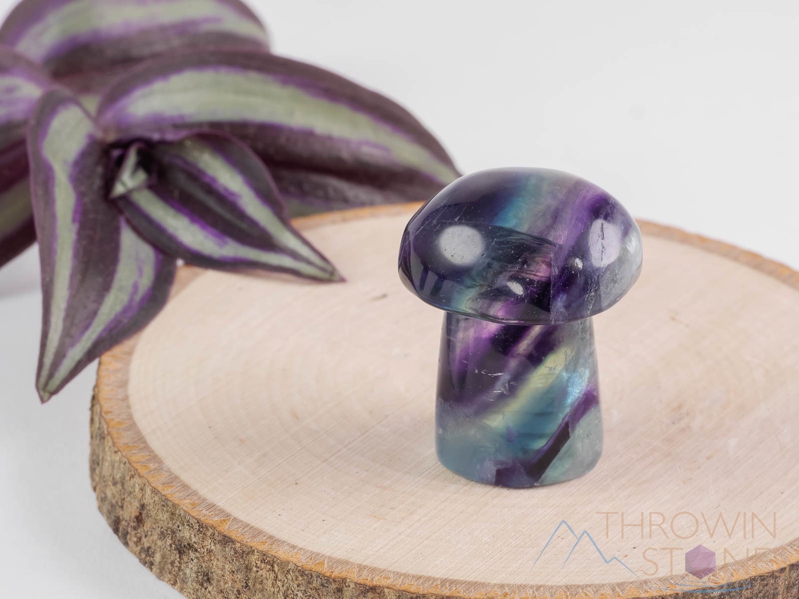Rainbow FLUORITE Crystal Mushroom - XS-L – Hand Carved, Fluorite