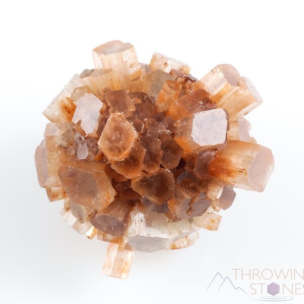 ARAGONITE Star Cluster  - Root Chakra, Crystal Healing, Aragonite Crystal, Raw Cluster, E1076