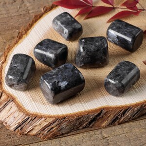 LARVIKITE Tumbled Crystals - Self Care, Pocket Crystals, Tumbled Stones, Healing Crystals, E0844