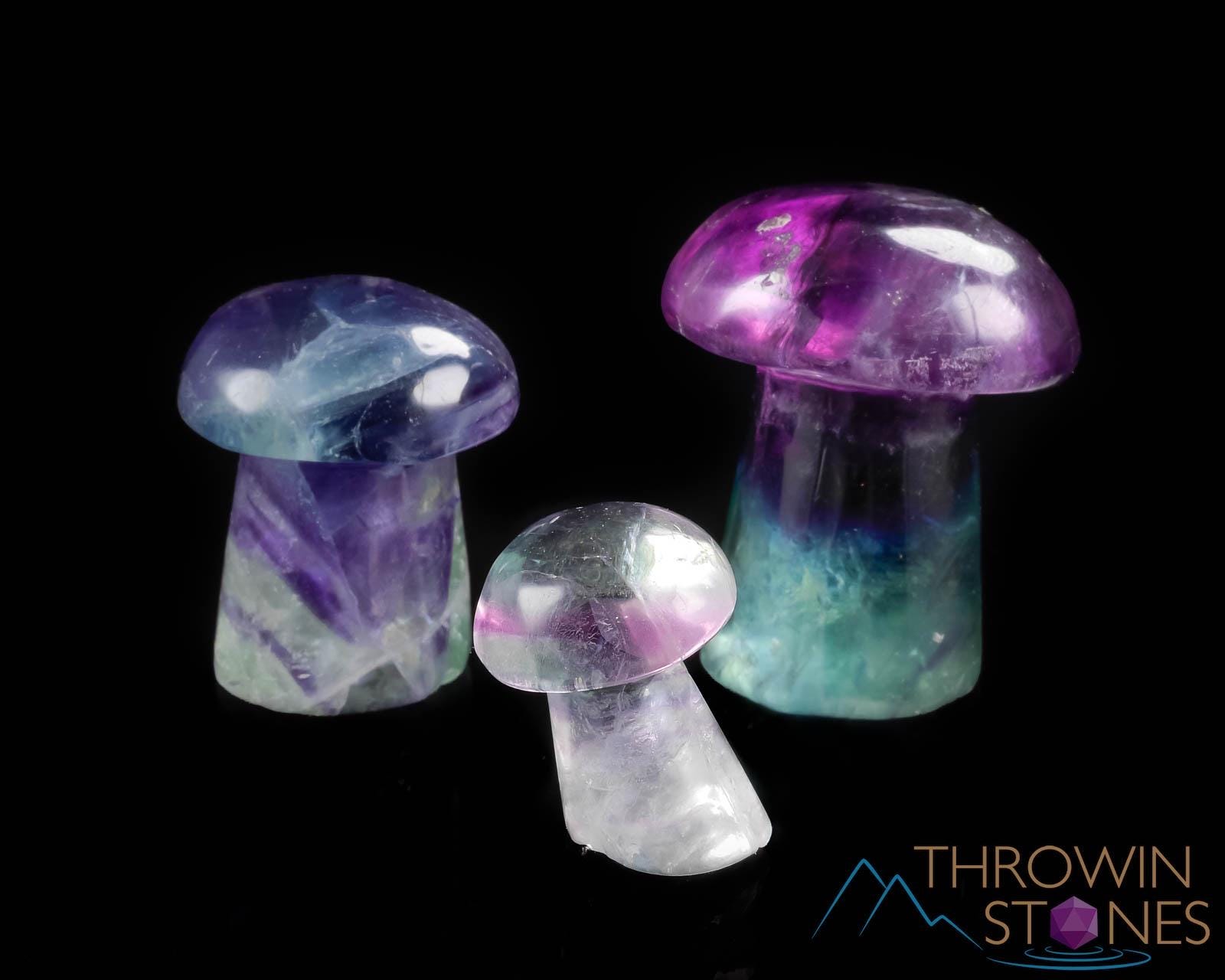 Rainbow FLUORITE Crystal Mushroom - XS-L – Hand Carved, Fluorite