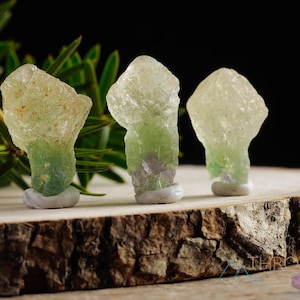 Green FLUORITE Mushroom – Raw Crystals, Natural Fluorite, Crystal Grid, Fluorite Stones - E1441