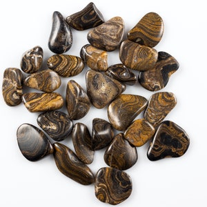 STROMATOLITE Tumbled Stones - Fossilized Stromatolite, Semi Precious, Polished Gemstones, E1105