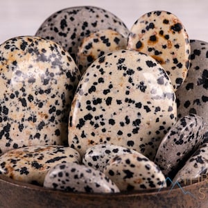 DALMATIAN JASPER Worry Stone - XS, S, M – Crystal Healing, Self Care, Unique Gift, Palm Stone, E1649