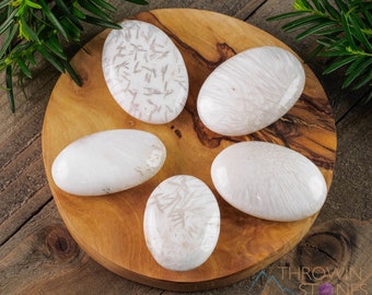 White SCOLECITE Palm Stone - XS-XXL- Self Care, Carved Crystal, Worry Stone, Crystal Healing, E0837