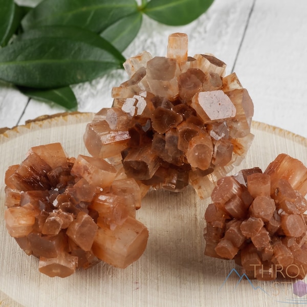 ARAGONITE Star Cluster  - Root Chakra, Crystal Healing, Aragonite Crystal, Raw Cluster, E1076