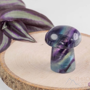 Rainbow FLUORITE Mushroom - XL-XXL – Hand Carved, Fluorite Crystal, Home Decor, Crystal Mushroom, E1809