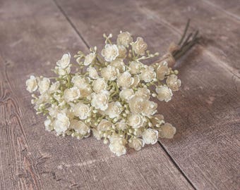 Ivory Gypsophila Bundle | Bunch of Gypsophila  | Filler Flower | DIY Floral | Wedding/Home Decoration | Gifts