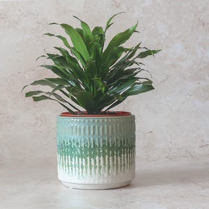 Green Textured Glazed Ceramic Planter | House Plant Pot | Indoor Planter | Pot Cover | Gifts for Plant Lovers