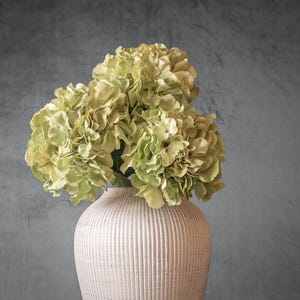 May include: A cream-coloured, ribbed ceramic vase holds a bouquet of light green and yellow hydrangeas. The flowers have multiple layers of petals. The vase is set against a textured, grey-blue background.