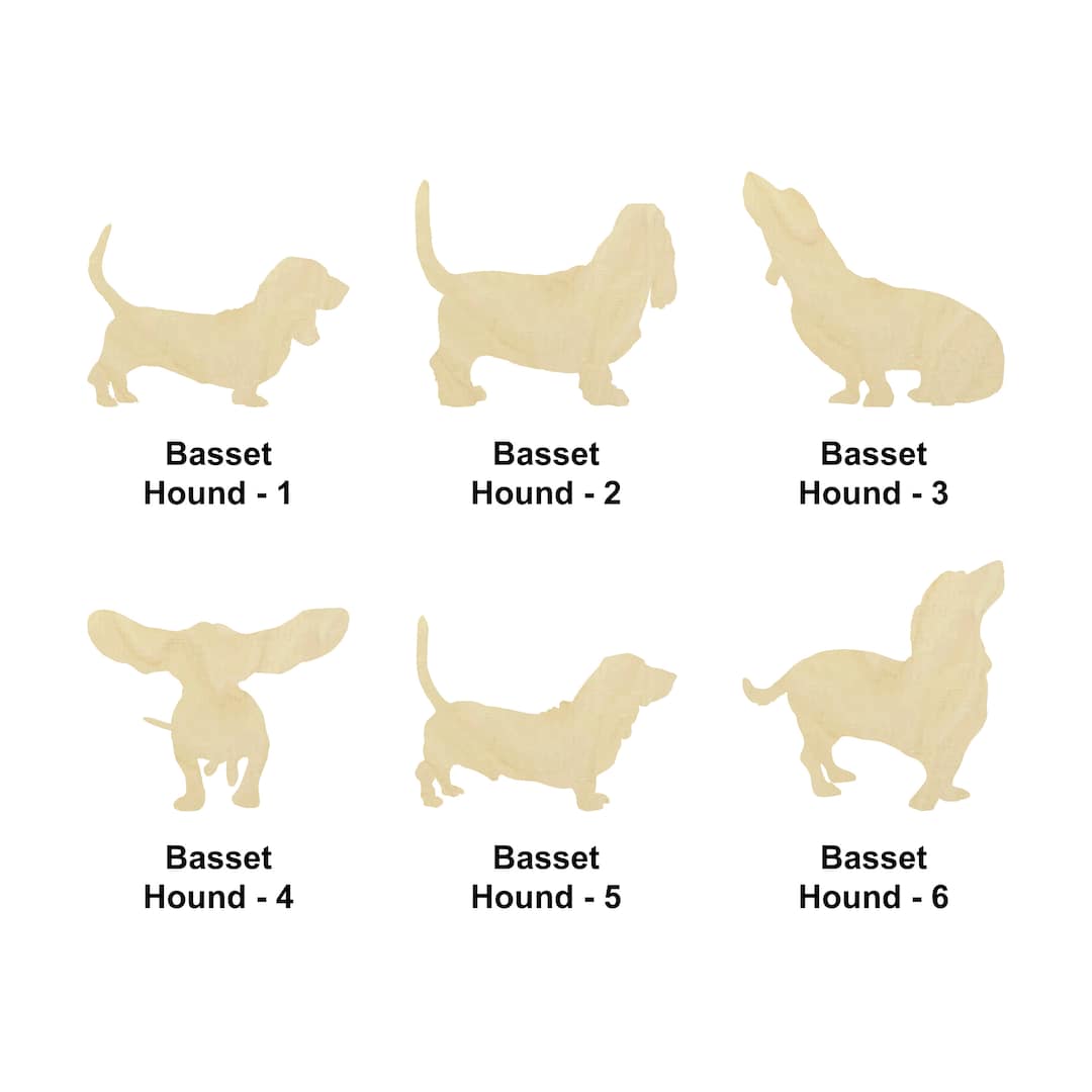 Colors Basset Hound Coat Type Custom Colored Basset