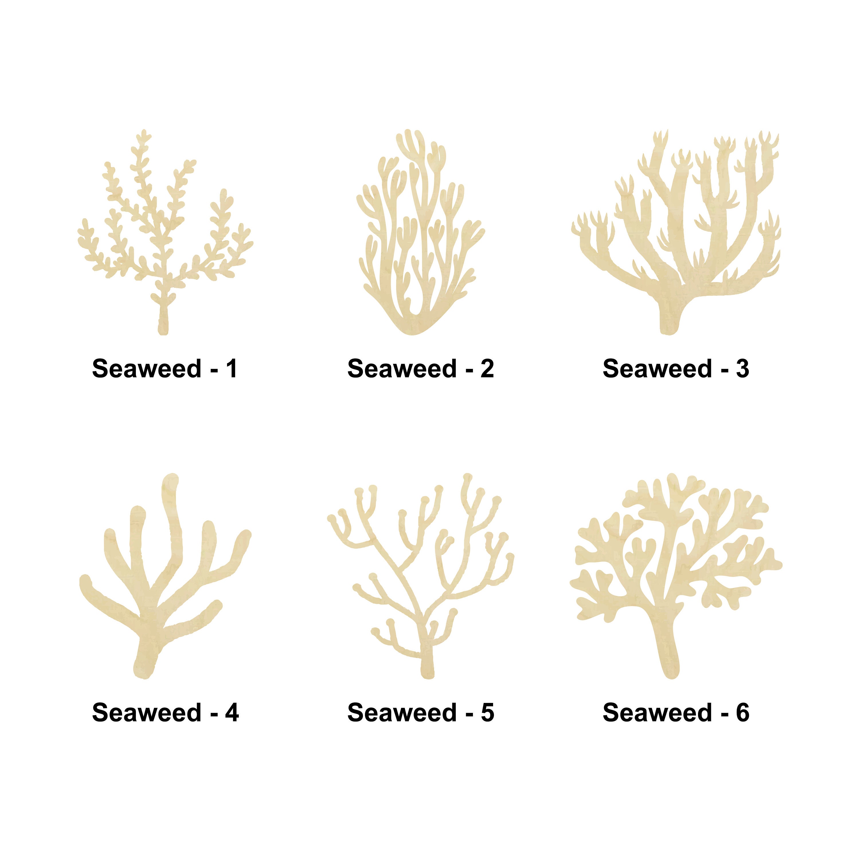 Seaweed Cut Out -  Canada