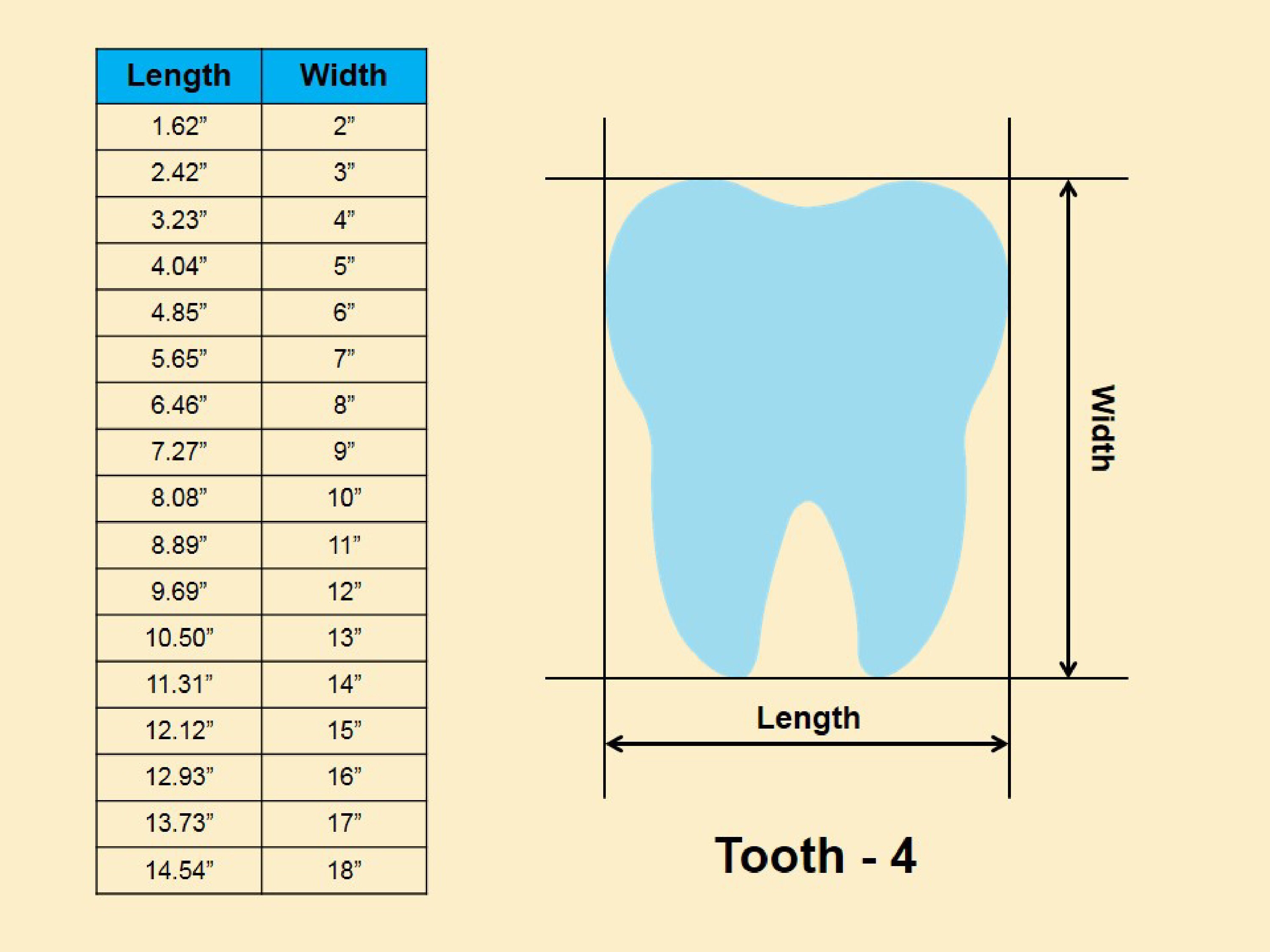 Tooth Sizes Examples Tooth Shape - Multiple Sizes- Laser Cut Unfinished Wood Cutout Shapes ...