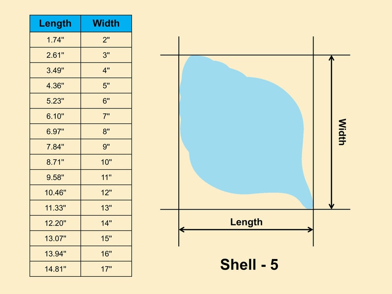 Shell or Sea Shell Wooden Shape - Multiple Sizes- Laser Cut Unfinished ...