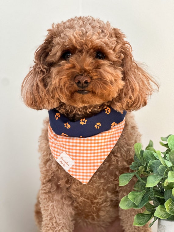 Auburn Reversible Dog Bandana Etsy