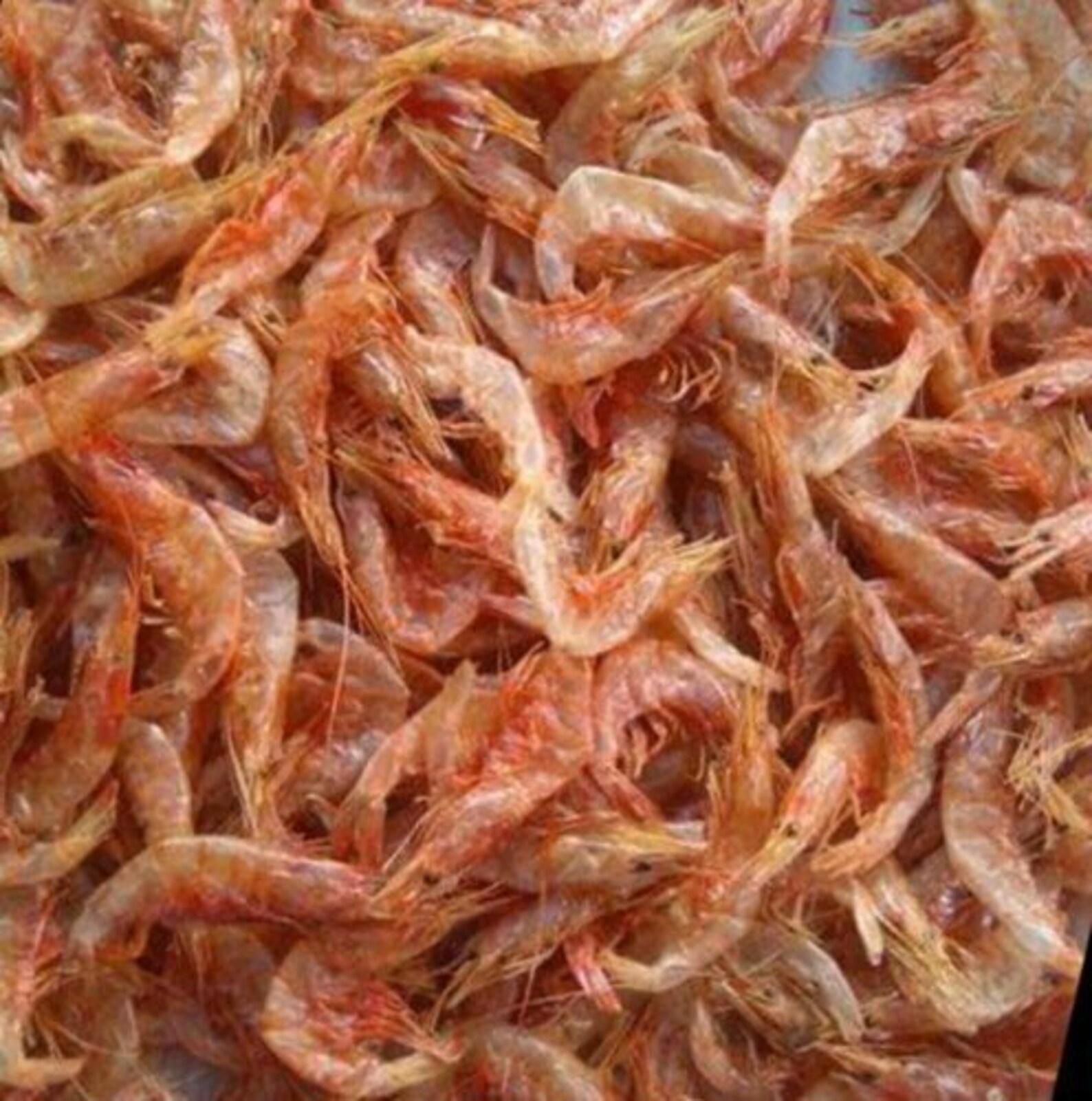 Dried Prawns Sun Dried Fresh Prawns Chemical Free Etsy