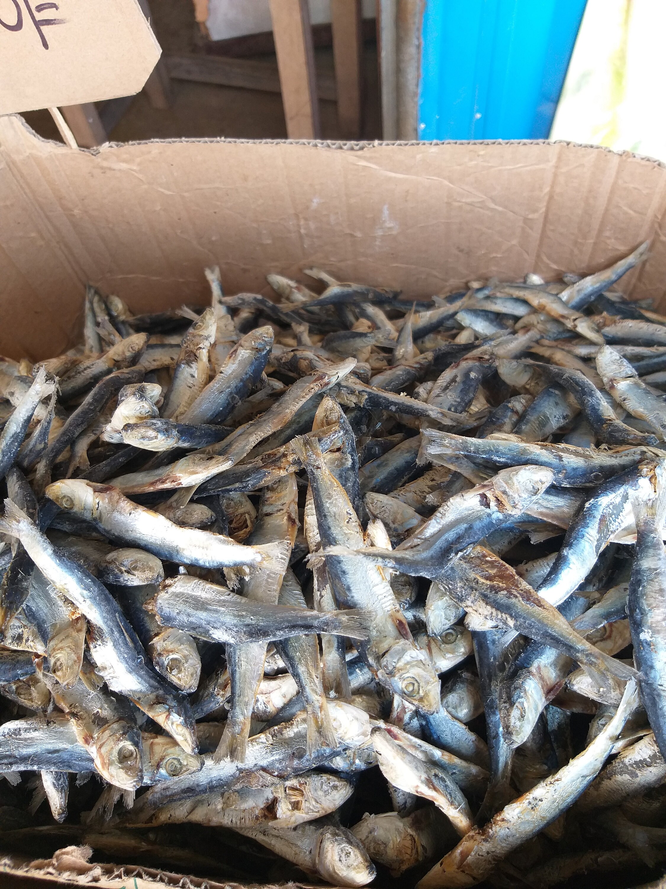 Dried Fish