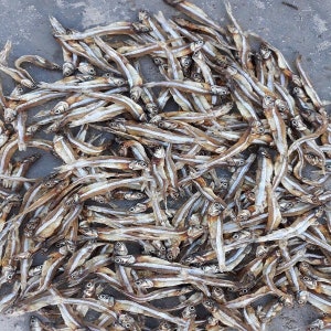 Natural Sun Dried Fresh pure Sprats halmessa Chemical free Dried 1kg, 1000g image 4