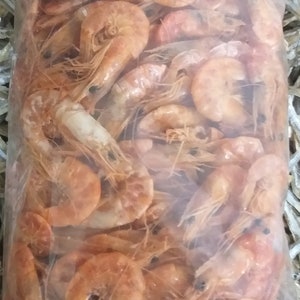 Crevettes en poudre 🦐 (20g) - Super Prix 👍🏽 - —