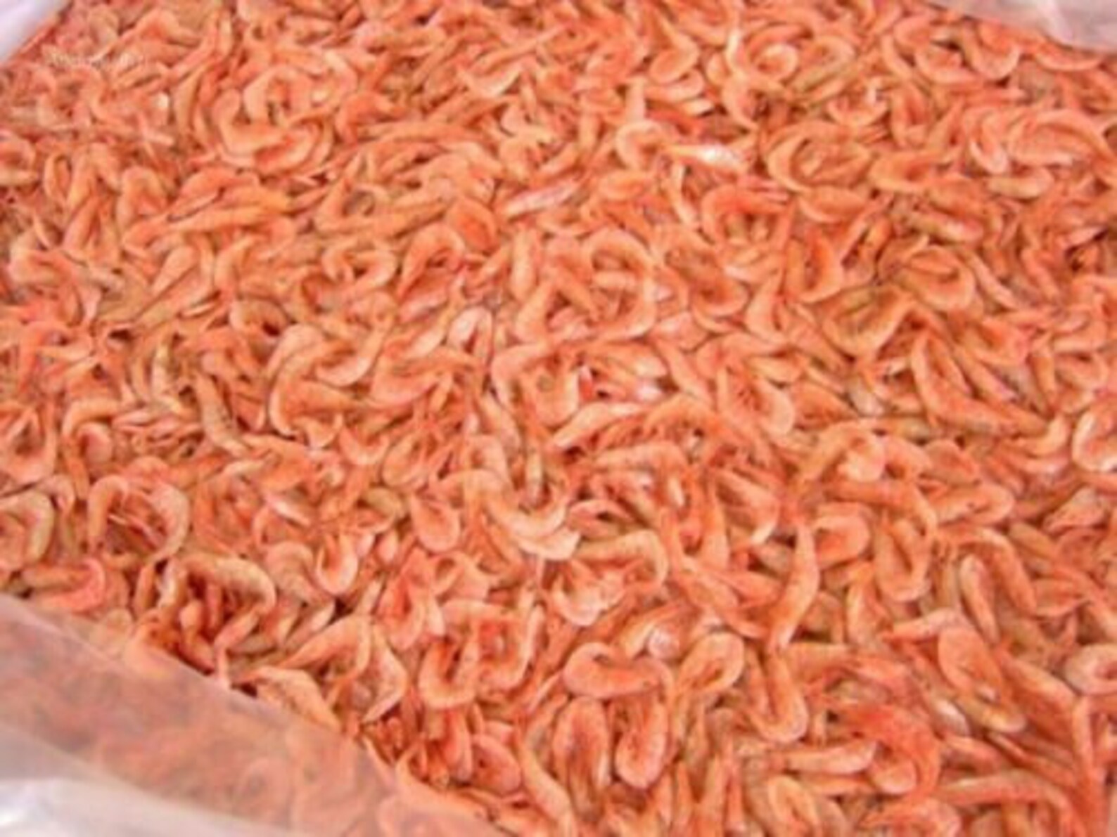 Dried Prawns Sun Dried Fresh Prawns Chemical Free Etsy