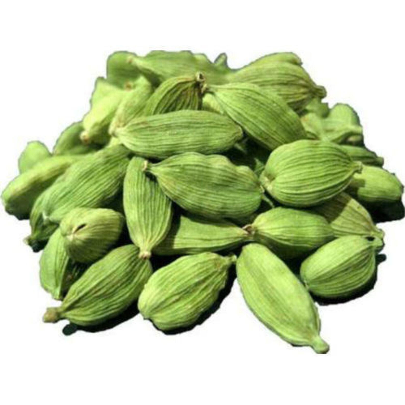 Bio GREEN CARDAMOM Choti Green Cardamon Pods ganz Etsy
