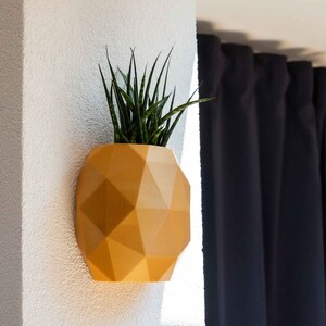 Può includere: Una fioriera da parete geometrica color senape con una pianta. La fioriera ha un design sfaccettato ed è montata su una parete bianca strutturata. La pianta ha foglie lunghe, verdi e appuntite. Lo sfondo include una tenda scura e luce naturale.