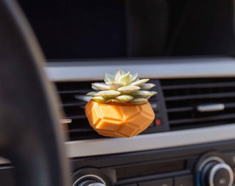 Cardening Car Planter - Cozy Boho Car Accessory for Women Natural Air Freshener Benefits - Perfect Gift for Vanlife or RV lovers - Titans