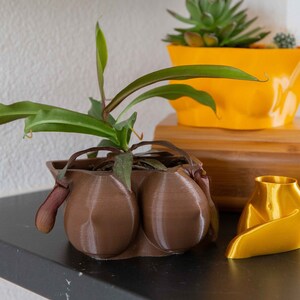 BOTANIC LIQUID SCULPEY PLANTER Home Decor Mad in Crafts