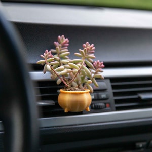 May include: A small succulent plant in a gold pot, placed in the air vent of a car's dashboard.