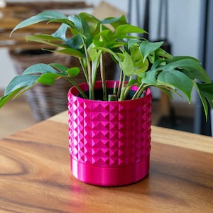 Jardinera con tachuelas: ¡muchas opciones de color! / Drenaje y bandeja disponibles / Regalo personal perfecto para decoración del hogar / Se adapta a suculentas, plantas y más.